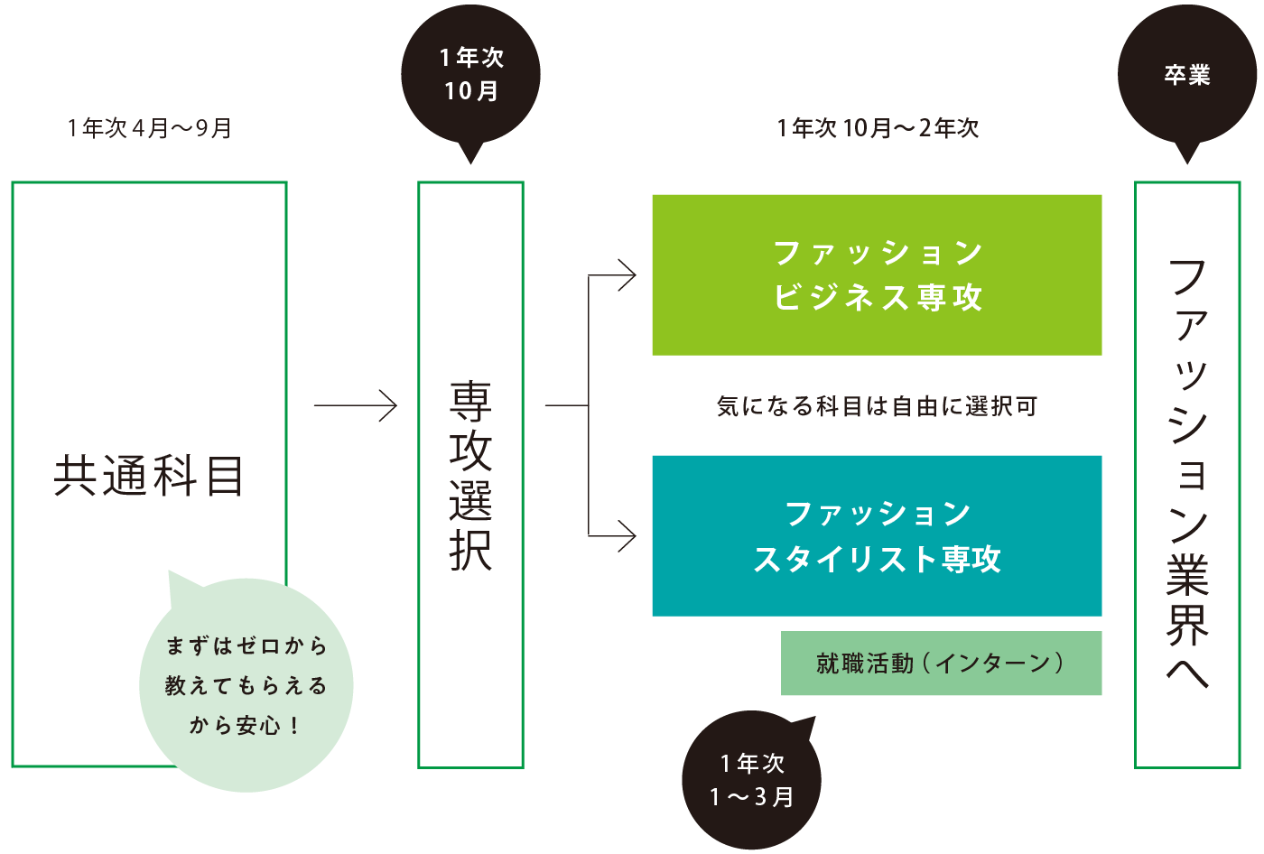 専攻に進むまでの流れ